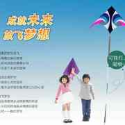 天眼伞布风筝潍坊大型风筝，品牌可挂灯挂尾三角风筝