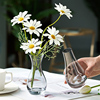 套装北欧简约ins 风玻璃花瓶透明水培植物鲜花客厅装饰插花瓶摆件