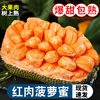 越南红肉菠萝蜜17斤应季新鲜水果一整个树上熟红心波罗蜜整箱