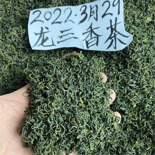 松阳香茶龙三香茶2024年新茶一斤500g克浓香茶叶豆香明前春茶绿茶