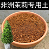 非洲茉莉专用土配方营养，土盆栽非洲茉莉土，酸性土家用土壤花泥花肥