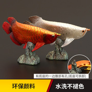 实心仿真动物模型玩具观赏金龙鱼巨骨舌鱼锦鲤金鱼恐龙摆件套装
