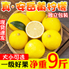 四川安岳黄柠檬(黄柠檬，)新鲜现摘一级果