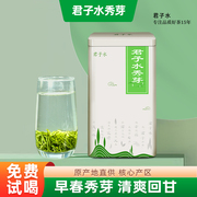 君子水秀芽2024年新茶叶(新茶叶，)特产礼盒装特级春茶重庆永川绿茶秀牙散装