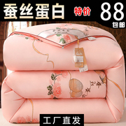 加厚蚕丝蛋白被子冬被保暖丝棉被芯双人春秋冬天太空被褥冬季冬款