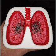 肺型烟灰缸肺部形状的烟灰缸红色抖音创意个性生日男友礼物