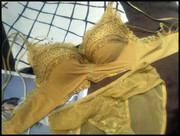 黑色黄色 厚杯 女式钻文胸 5厘米厚无钢圈聚拢蕾丝性感钻内衣