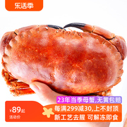 熟冻面包蟹大螃蟹黄金蟹新鲜海鲜冷冻水产特大超大母蟹珍宝黄油蟹