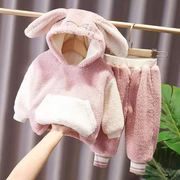 秋冬装0-1-2-3岁半男宝宝衣服，冬天婴儿童棉衣套装女童装，两件套潮4