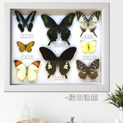 承颜真蝴蝶e昆虫标本相框立体原木色长方形12寸画框现代简约工