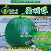 绿明珠甜瓜种子绿皮绿壤香，甜度26%绿宝石种籽冰翡翠超甜种孑