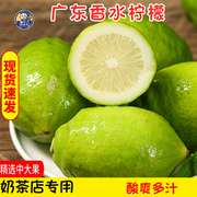 可广东香水柠檬一级果新鲜广州青柠檬无籽绿皮香柠檬水奶茶饮