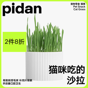 pidan猫草种植套装 去毛球化毛猫草猫薄荷小麦种子猫零食猫咪盆栽