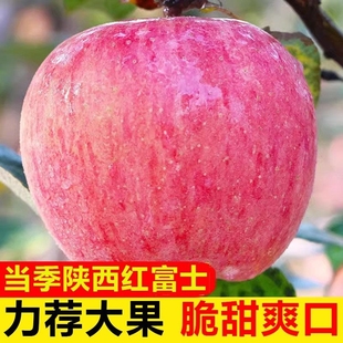 当季陕西红富士丑苹果水果新鲜脆甜冰糖心苹果5斤整箱平果