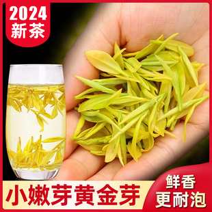 黄金芽2024年新茶安吉特级珍稀白茶高端黄金牙(黄金牙)茶叶礼盒