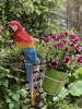 树脂工艺品鸟类动物创意花园，庭院挂件户外装饰品，摆件仿真金刚鹦鹉