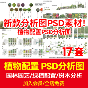 植物配置分析图psd分层绿植种植被景观，环艺搭配园林设计ps素材