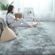 丝毛地毯客厅茶几卧室满铺可爱网红床边毛毯地垫子pv绒地毯