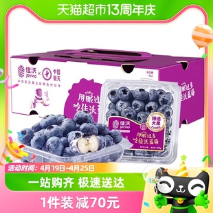 佳沃（joyvio）云南蓝莓125g/盒大果 18mm+新鲜水果