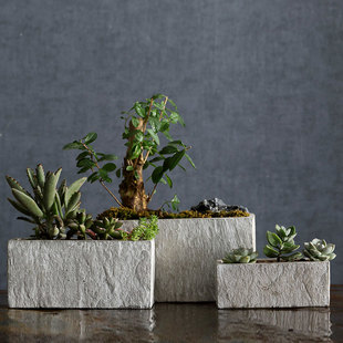 北欧仿石头长方形创意，室内多肉植物巴西木绿萝陶瓷水泥小花盆托盘