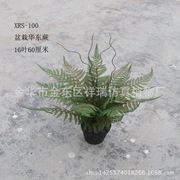 仿真树叶植物蕨类叶子盆栽华东蕨叶桫椤叶假树叶子博物馆工程