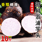 广西荔浦10斤新鲜大芋头农家特产，紫藤毛芋头(毛，芋头)香芋槟榔芋蔬菜5