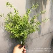 仿真蕨类植物天门冬室内绿化景观背景摆设墙装饰绿植盆栽花卉假花