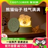 名创优品中国熊猫晶石香薰，1个发光摆件，卧室内精油香氛情人节礼物