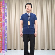 甩 时尚短袖T恤男 蓝色纯棉 VGO 100%棉青年立领休闲针织衫