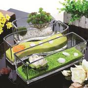 玻璃鱼缸小型创意桌面生态金鱼缸(金鱼缸，)水培长方形迷你办公桌造景水族箱