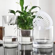 水培植物玻璃瓶透明直筒圆柱形花瓶简约绿萝白掌水养玻璃容器