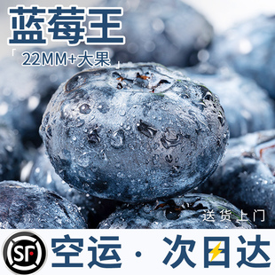 云南蓝莓鲜果当季高山新鲜水果，孕妇甜现摘空运特大蓝梅丹
