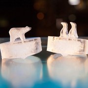 威士忌硅胶冰格模具冰块，制冰冻冰球企鹅北极熊冰球