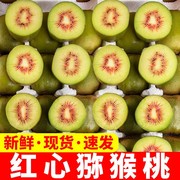 果客四川蒲江·红心猕猴桃·新鲜水果奇异果一年一季软糯香甜