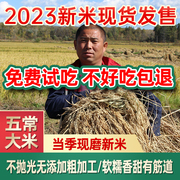 2023新米不抛光东北黑龙江大米五常大米稻花腹白米5kg
