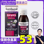 Sambucol英国进口儿童黑接骨木糖浆120ml 维生素VC提高体质免疫力