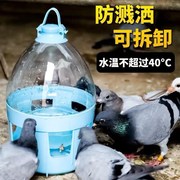 鸽子饮水器水壶信鸽用品，自动喂水乾净卫生鸽子用品用具赛鸽水壶