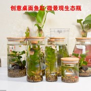 生态鱼缸玻璃瓶创意苔藓微景观玻璃瓶微观DIY盆栽生态瓶桌面鱼缸
