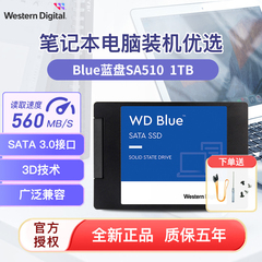 wd西部数据blue-3d1tb固态硬盘