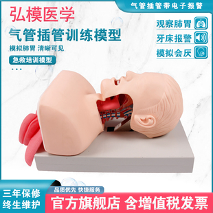 弘模高级电子人体气管插管训练模型(带报警) 成人新生儿婴气管插管模拟人口鼻咽通气管插入急救培训模具