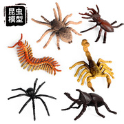儿童仿真野生昆虫动物模型套装迷你蜘蛛楸型虫蝎子蜈蚣独角仙玩具