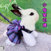 兔子衣服牵引绳夏天溜小兔子穿的防挣脱可爱侏儒，兔专用宠物绑遛绳