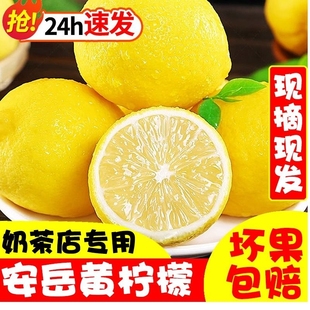 四川安岳黄柠檬5斤新鲜水果一级果当季现摘榨汁皮薄多汁整箱9