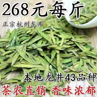 2024新茶春茶杭州龙井茶叶豆香高山茶龙井43绿茶茶农500g
