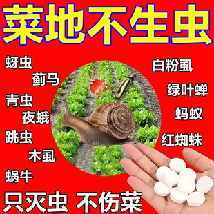 家庭园艺防虫片盆栽花卉绿植多肉菜地防虫害除虫菜虫蔬菜菜地防烂