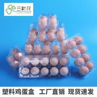 鸡蛋盒塑料一次性，透明包装盒便携皮蛋咸鸭蛋，盒子包装鸡蛋托打包盒