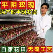 2023头期平阴玫瑰花茶，低温无硫平阴干玫瑰，花蕾茶泡水250g重瓣