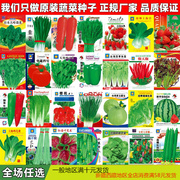 蔬菜种子四季阳台盆栽，生菜籽草莓黄瓜西瓜辣椒，葱香菜种籽孑子大全