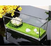 透明水培玻璃花盆花瓶乌龟缸长方形缸 S缸 植物花器绿萝水仙