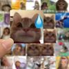 62张歪嘴小猫表情包贴纸(包贴纸，)网红骚骚猴，混合沙雕个性创意装饰防水贴纸